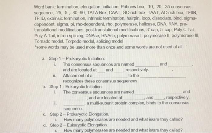 Word Bank Termination Elongation Initiation Pribnow Box 10 20 35 Consensus Sequence 25 5 80 90 Tata B 1