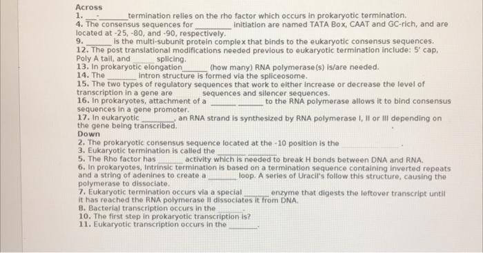 Word Bank Termination Elongation Initiation Pribnow Box 10 20 35 Consensus Sequence 25 5 80 90 Tata B 4