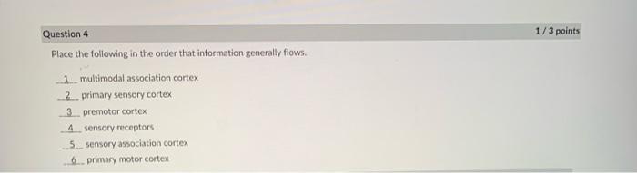 Place The Following In The Order That Information Generally Flows 1 Multimodal Association Cortex 2 Primary Sensory Cor 1