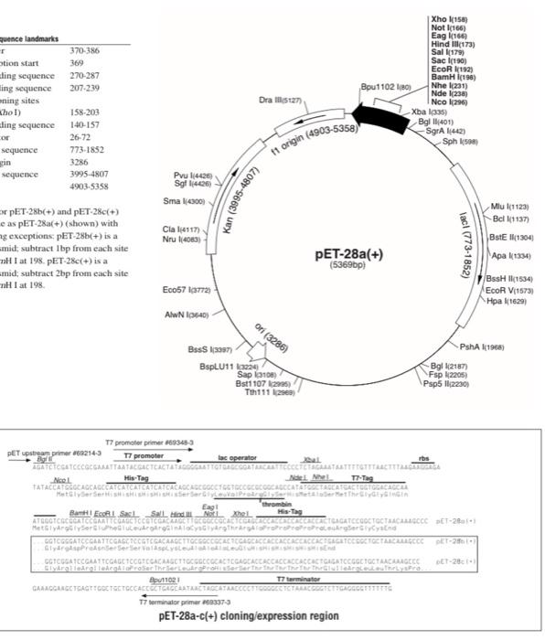 Quence Landmarks T Otion Start Aling Sequence Ling Sequence Ning Sites Kho I Aling Sequence Or Sequence In Sequence 370 1