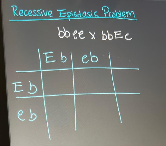 Recessive Epistasis Recessive Epistasis Problems You Have Decided To Cross Your Golden Retriever Bbee With The Neighb 2