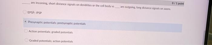 Are Incoming Short Distance Signals On Dendrites Or The Cell Body Vs Epsp Ipsp Presynaptic Potentials Postsynaptic Po 1