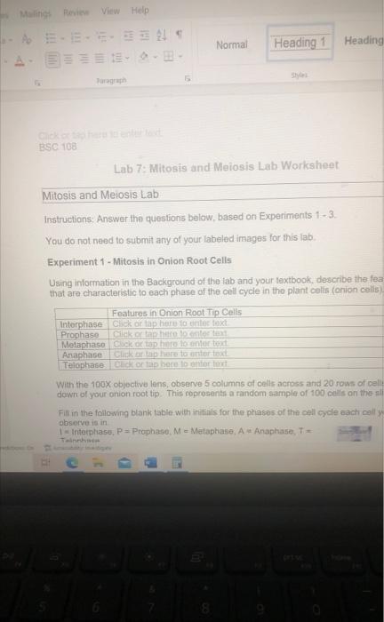 Mailings Review View Help 4 Bsc 108 Paragraph Normal Lab 7 Mitosis And Meiosis Lab Worksheet Heading 1 Mitosis And Meio 1