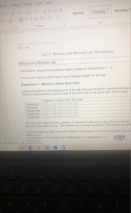 Mailings Review View Help 4 Bsc 108 Paragraph Normal Lab 7 Mitosis And Meiosis Lab Worksheet Heading 1 Mitosis And Meio 3