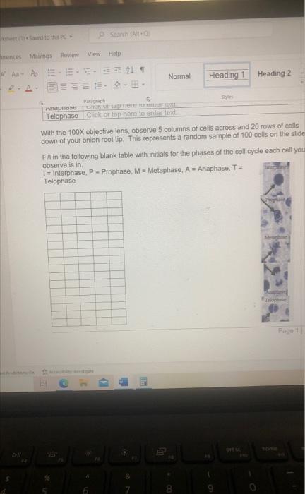 Erences Mailings Review View Help A Aa Ae E Fu Anaphase Telophase P Search Alt 955 Paragraph Grck Of Up To 10 1