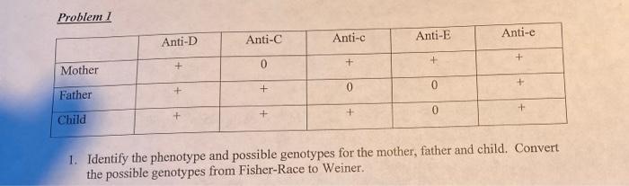 Problem I Mother Father Child Anti D Anti C 0 Anti C 0 Anti E 0 Anti E 1 Identify The Phenotype And Pos 1