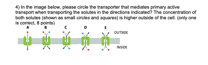 4 In The Image Below Please Circle The Transporter That Mediates Primary Active Transport When Transporting The Solute 1