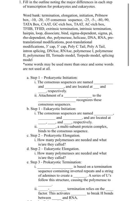 1 Fill In The Outline Noting The Major Differences In Each Step Of Transcription For Prokaryotes And Eukaryotes Word B 1