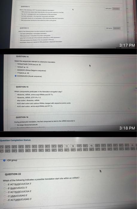 Question Question 24 Hc Mc Question Completion Status O Oh Group Question 14 Select The Sequence Relevant To Eukaryote 1