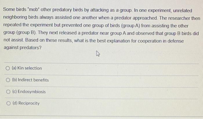 1 0 0 8 Frequency Of 0 6 Allele Al 0 4 0 2 0 0 O A Homozygous O B Dominant C Recessive 200 O D Heterozygous E 2