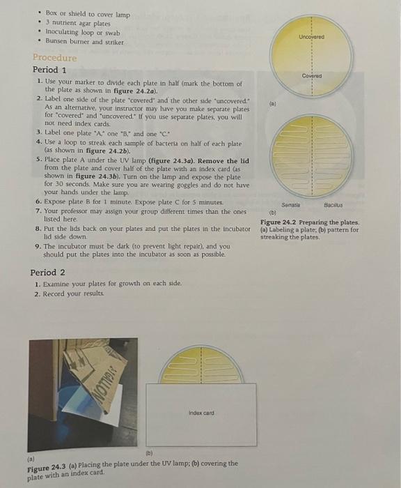 Box Or Shield To Cover Lamp 3 Nutrient Agar Plates Inoculating Loop Or Swab Bunsen Burner And Striker Procedure Pe 1