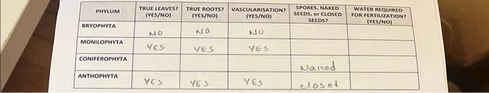 Phylum Bryophyta Monilophyta Coniferophyta Anthophyta True Leaves True Roots Vascularisation Yes No Yes No Yes N 1