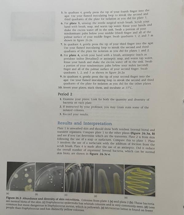 Tips For Success Students Should Not Wash Their Hands During The Day Before Beginning This Exercise If You Have A Dog 2