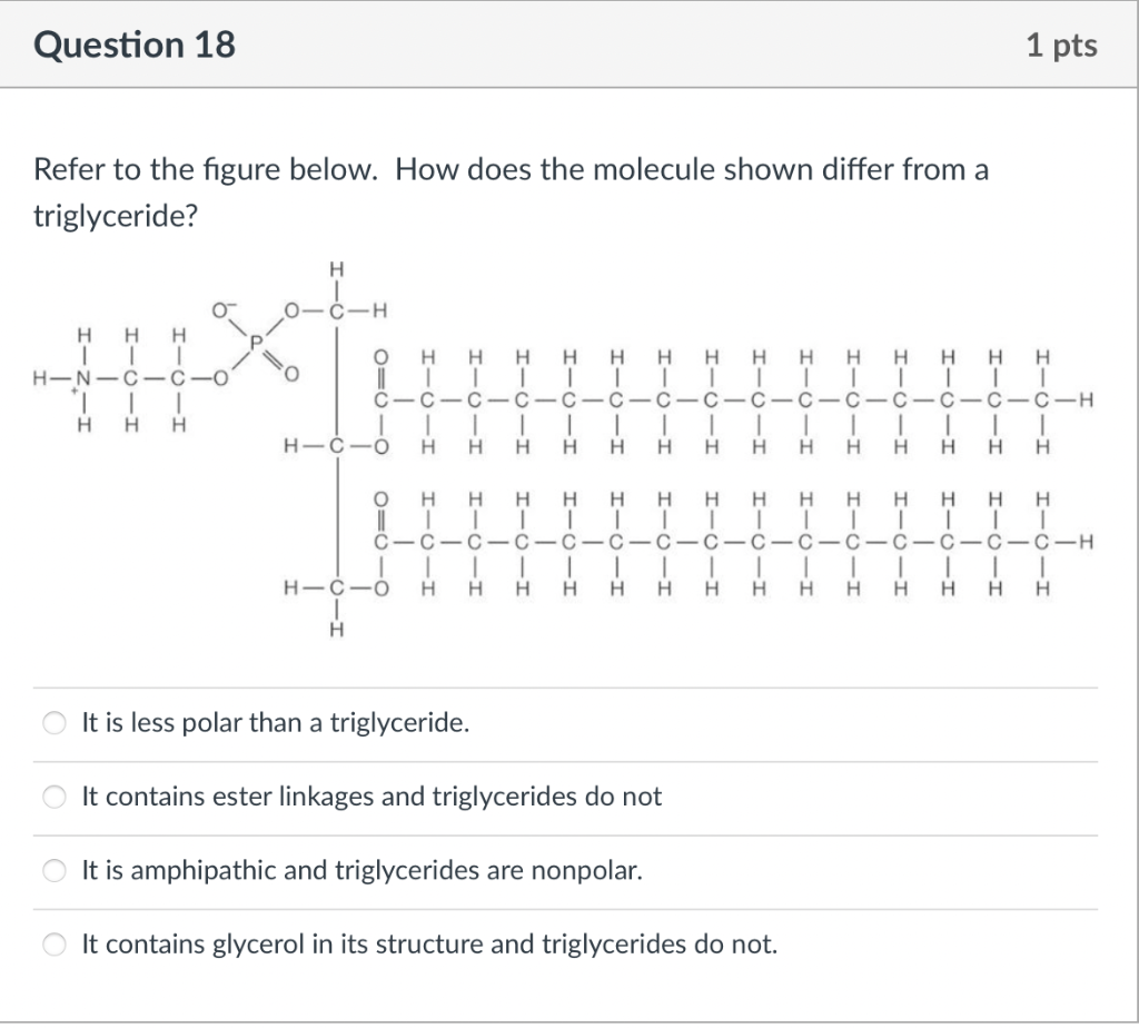Question 18 Refer To The Figure Below How Does The Molecule Shown Differ From A Triglyceride H 1 H H Hin C C T 1 H H 1