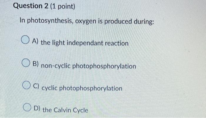 Question 1 1 Point Which Of The Following Are Raw Materials For Photosynthesis A Co2 And Starch B Hydrogen Atoms A 2