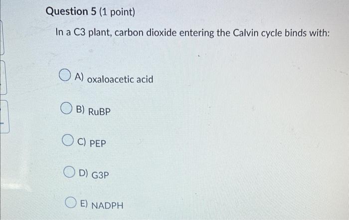Question 1 1 Point Which Of The Following Are Raw Materials For Photosynthesis A Co2 And Starch B Hydrogen Atoms A 5