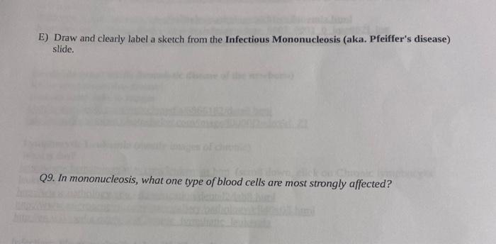 E Draw And Clearly Label A Sketch From The Infectious Mononucleosis Aka Pfeiffer S Disease Slide Coens Q9 In Monon 1
