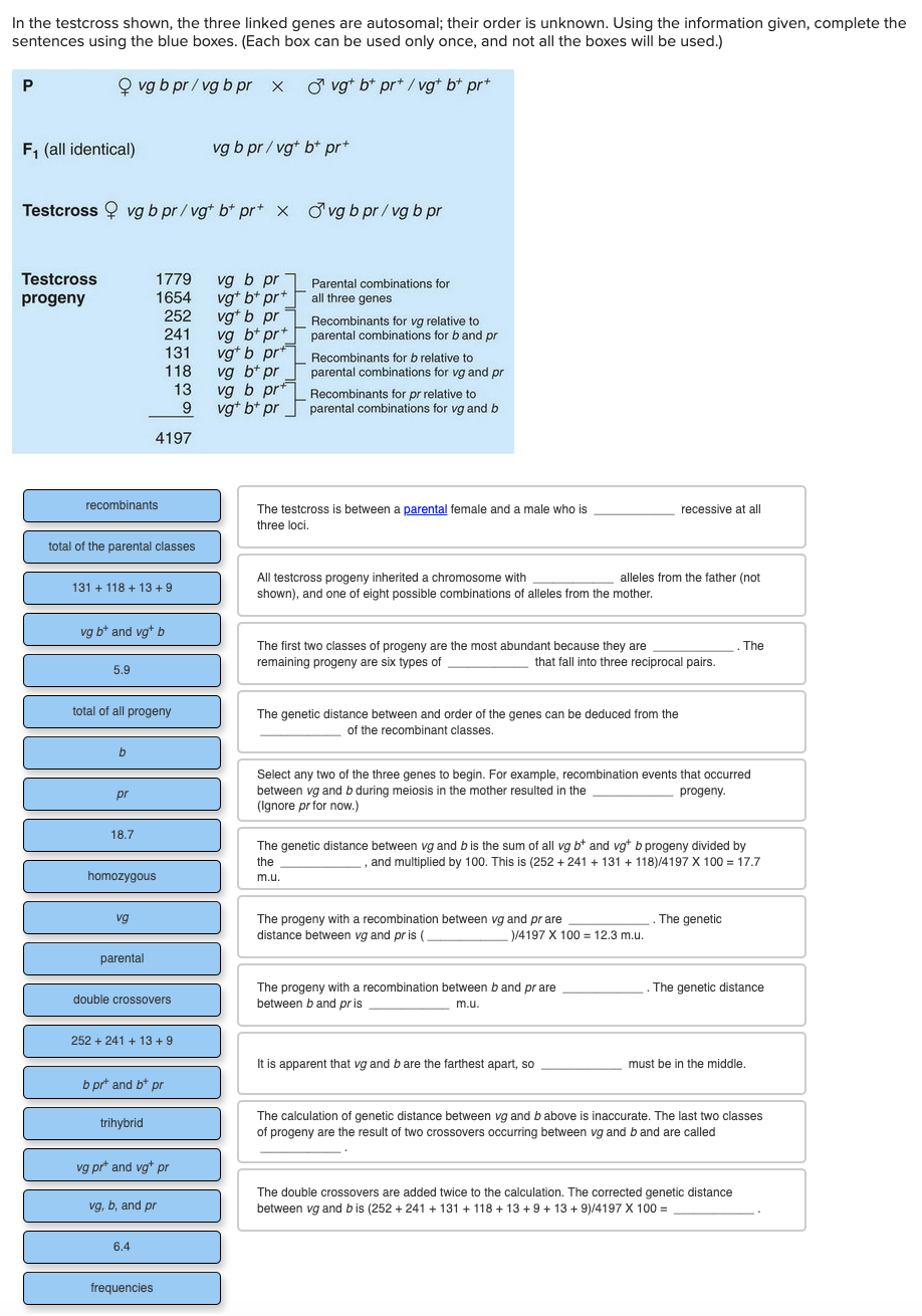In The Testcross Shown The Three Linked Genes Are Autosomal Their Order Is Unknown Using The Information Given Compl 1