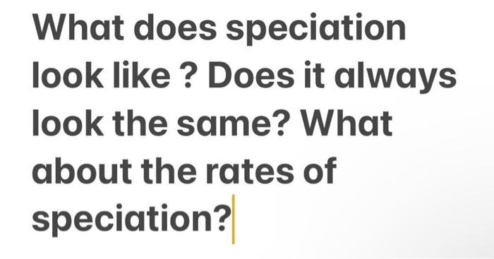 What Does Speciation Look Like Does It Always Look The Same What About The Rates Of Speciation 1