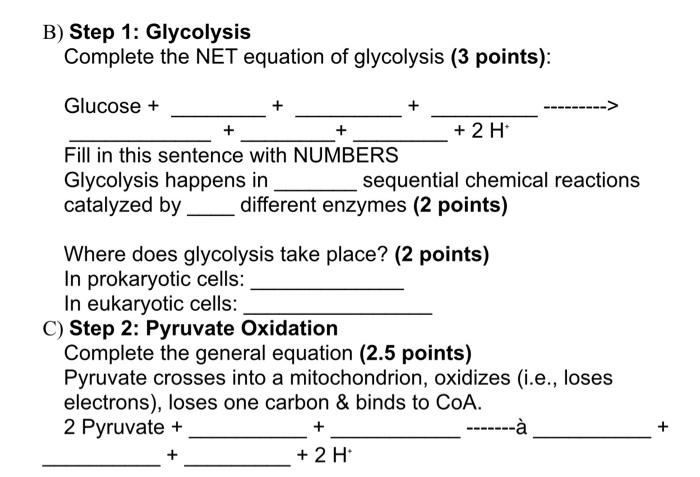 B Step 1 Glycolysis Complete The Net Equation Of Glycolysis 3 Points Glucose Fill In This Sentence With Numbers 1