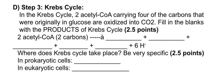 D Step 3 Krebs Cycle In The Krebs Cycle 2 Acetyl Coa Carrying Four Of The Carbons That Were Originally In Glucose Ar 1