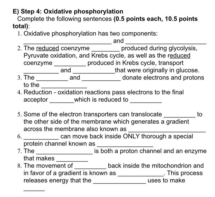 E Step 4 Oxidative Phosphorylation Complete The Following Sentences 0 5 Points Each 10 5 Points Total 1 Oxidative 1