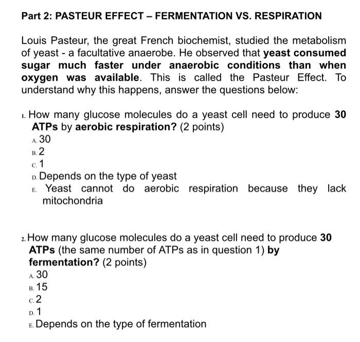 Part 2 Pasteur Effect Fermentation Vs Respiration Louis Pasteur The Great French Biochemist Studied The Metabolism 1