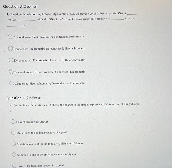 Question 3 2 Points 3 Based On The Relationship Between Agouti And Mc1r Wherever Agouti Is Expressed Its Dna Is To 1