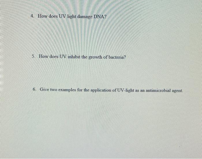 Effect Of Uv Light On Bacterial Growth Uv Light Exposure Time E Coli Staph Aureus B Megaterium 0 Sec 10 Sec 20 Sec 30 3