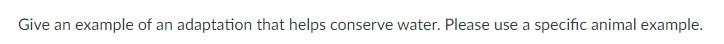 Give An Example Of An Adaptation That Helps Conserve Water Please Use A Specific Animal Example 1