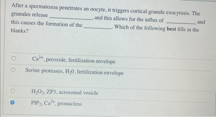 After A Spermatozoa Penetrates An Oocyte It Triggers Cortical Granule Exocytosis The Granules Release And This Allows 1