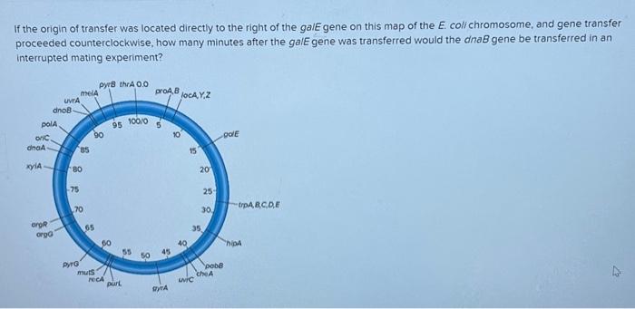 If The Origin Of Transfer Was Located Directly To The Right Of The Ga E Gene On This Map Of The E Coli Chromosome And 1
