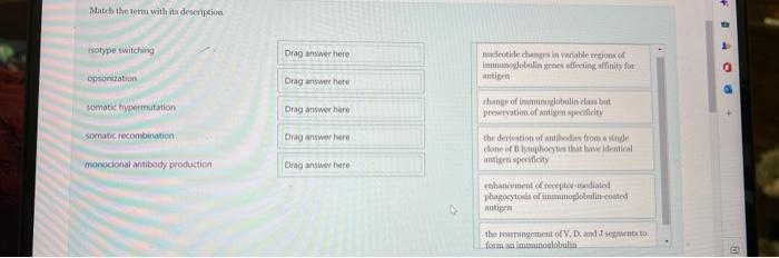 Match The Term With Its Description Isotype Switching Opsonization Somatic Hypermutation Somatic Recombination Monocion 1