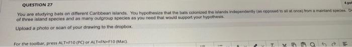 Question 27 4 Pol You Are Studying Bats On Different Caribbean Islands You Hypothesize That The Bats Colonized The Isla 1