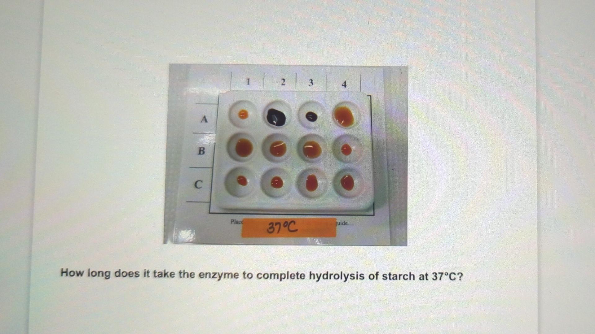 B C Place 3 O 37 C Quide How Long Does It Take The Enzyme To Complete Hydrolysis Of Starch At 37 C 1