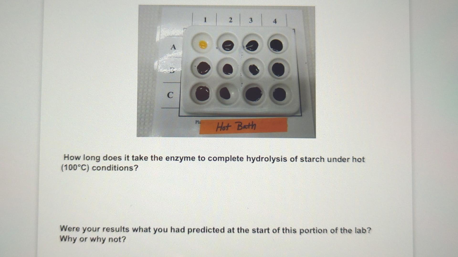 C Pla 2 3 Hot Bath How Long Does It Take The Enzyme To Complete Hydrolysis Of Starch Under Hot 100 C Conditions Were 1
