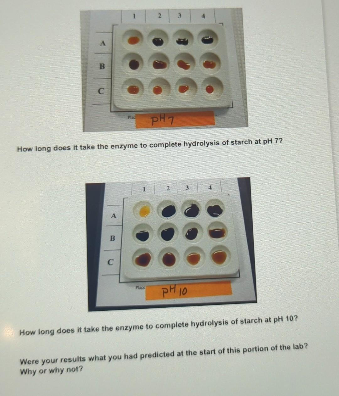 A B A B 1 C Plac How Long Does It Take The Enzyme To Complete Hydrolysis Of Starch At Ph 7 2 Place Ph7 2 3 4 Ph 10 4 Ho 1