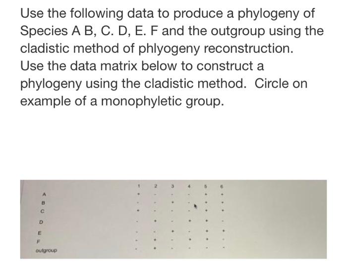 Use The Following Data To Produce A Phylogeny Of Species A B C D E F And The Outgroup Using The Cladistic Method Of 1