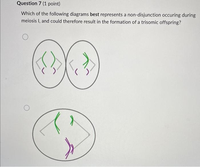 Question 7 1 Point Which Of The Following Diagrams Best Represents A Non Disjunction Occuring During Meiosis I And Co 1
