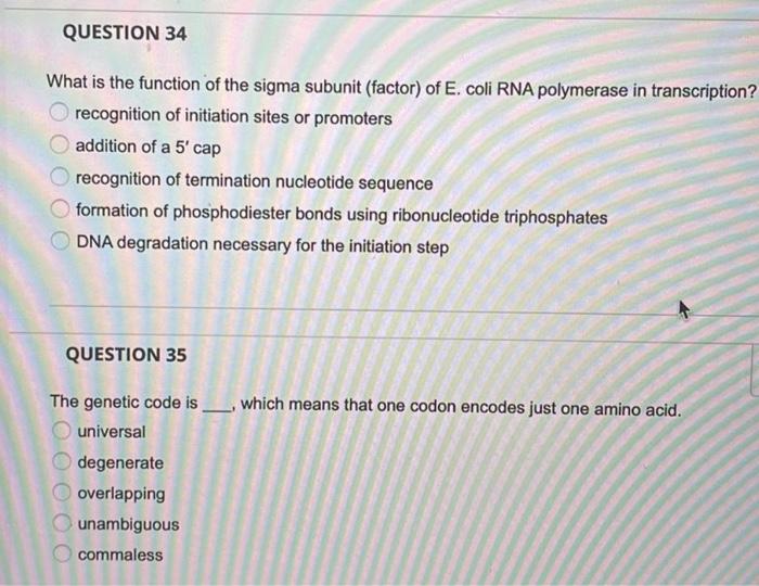 Question 34 What Is The Function Of The Sigma Subunit Factor Of E Coli Rna Polymerase In Transcription Recognition O 1