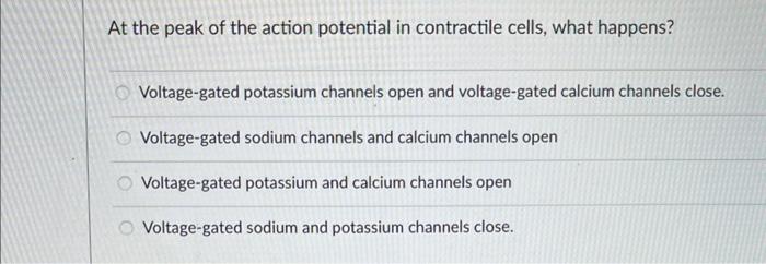 At The Peak Of The Action Potential In Contractile Cells What Happens Voltage Gated Potassium Channels Open And Voltag 1