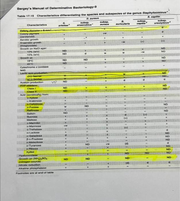 1 List Of Possible Staphylococcus Unknowns The List Of Staphylococcus Species Shown Below Are All Coagulase Negative St 3