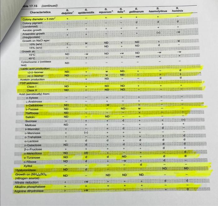 1 List Of Possible Staphylococcus Unknowns The List Of Staphylococcus Species Shown Below Are All Coagulase Negative St 6