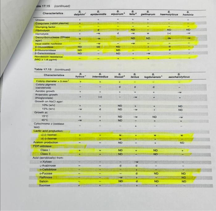 1 List Of Possible Staphylococcus Unknowns The List Of Staphylococcus Species Shown Below Are All Coagulase Negative St 11
