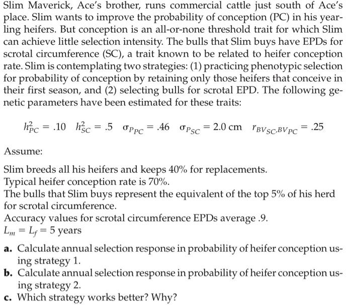 Slim Maverick Ace S Brother Runs Commercial Cattle Just South Of Ace S Place Slim Wants To Improve The Probability Of 1