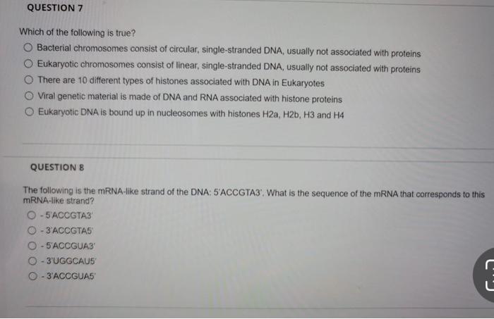 Question 7 Which Of The Following Is True O Bacterial Chromosomes Consist Of Circular Single Stranded Dna Usually Not 1