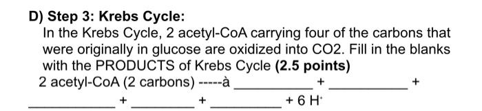 D Step 3 Krebs Cycle In The Krebs Cycle 2 Acetyl Coa Carrying Four Of The Carbons That Were Originally In Glucose Ar 1