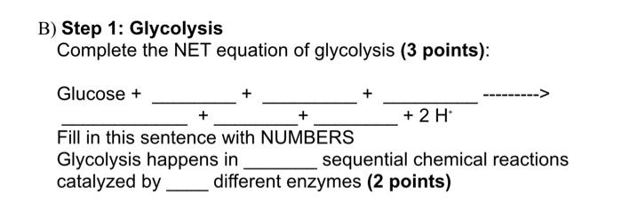 B Step 1 Glycolysis Complete The Net Equation Of Glycolysis 3 Points Glucose 2 H Fill In This Sentence With N 1
