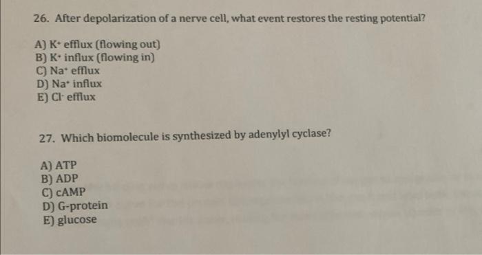 26 After Depolarization Of A Nerve Cell What Event Restores The Resting Potential A K Efflux Flowing Out B K Inf 1