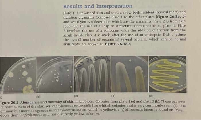 Results And Interpretation Plate 1 Is Unwashed Skin And Should Show Both Resident Normal Biota And Transient Organisms 1